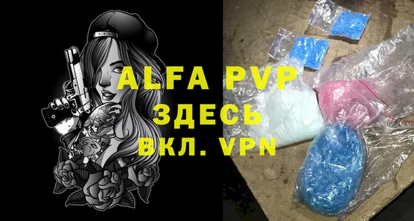 дживик Арсеньев