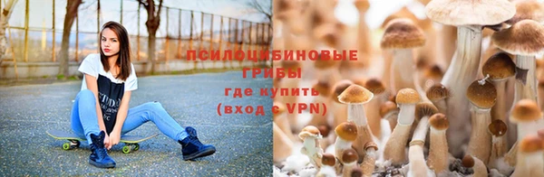 дживик Арсеньев