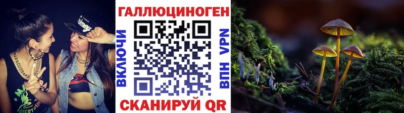 Галлюциногенные грибы GOLDEN TEACHER  блэк спрут онион  Мензелинск 